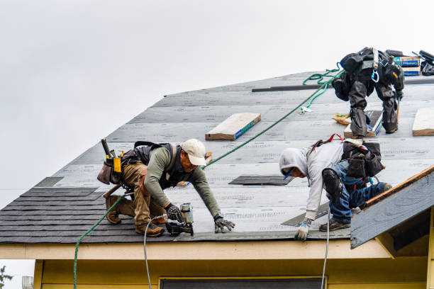 Professional Roofing technician working in Cayuga, ND